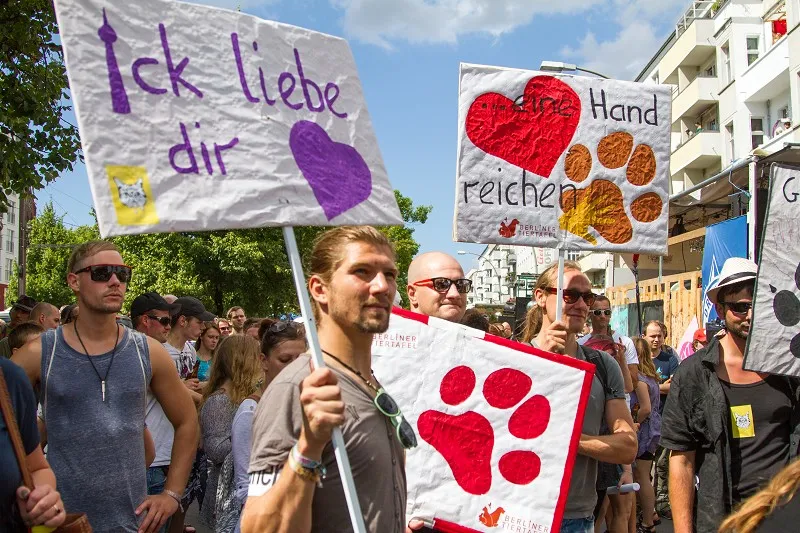 Review: Zug der Liebe 2015 – Berlin
